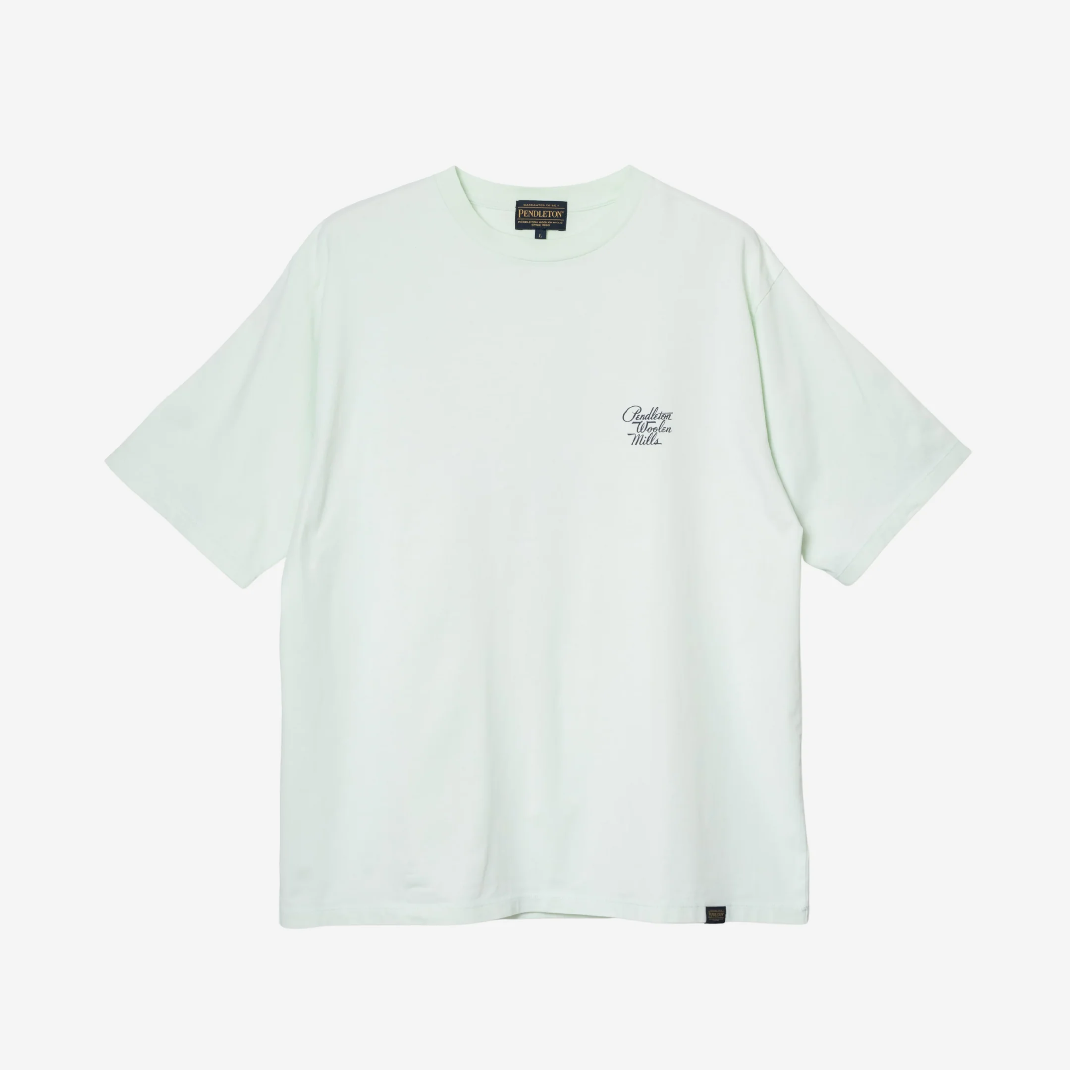 Mount Rainier National Park Tee - Mint